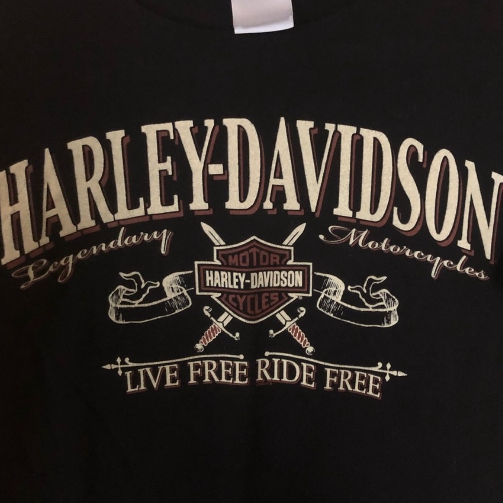 Harley Davidson Graphic